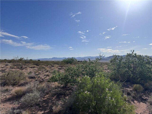 7264 E Stetson Dr, Kingman, AZ 86401 - photo 6