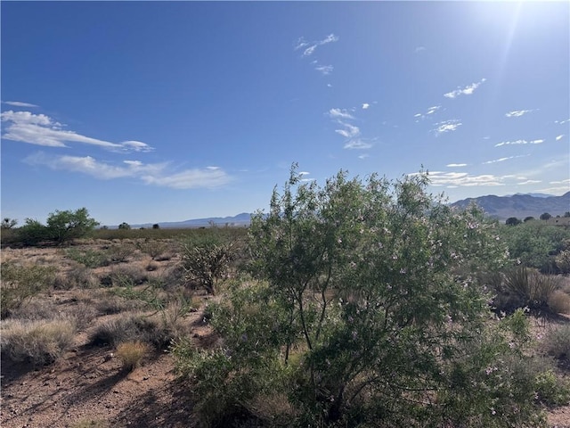7264 E Stetson Dr, Kingman, AZ 86401 - photo 2