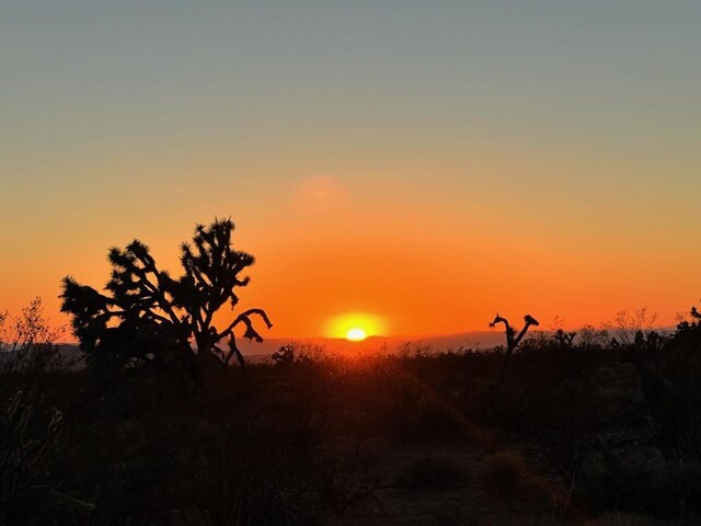 3501 Wild Bill Rd, Yucca, AZ 86438