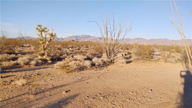 3501 Wild Bill Rd, Yucca, AZ 86438