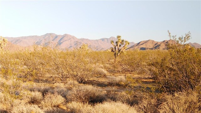 3501 Wild Bill Rd, Yucca, AZ 86438