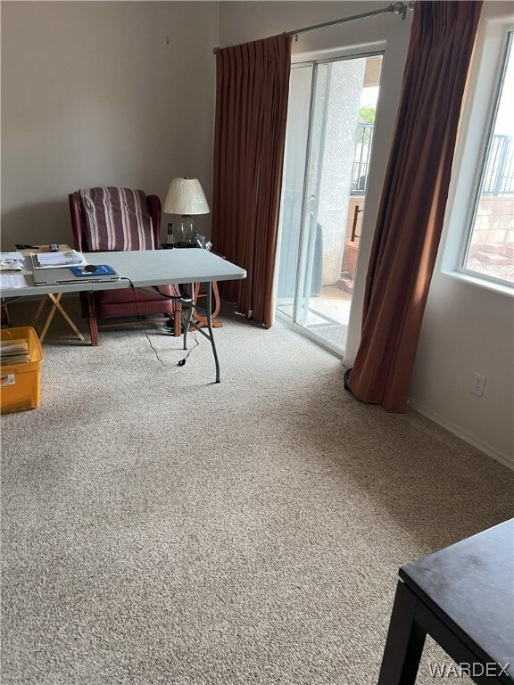 interior space with carpet flooring and a healthy amount of sunlight