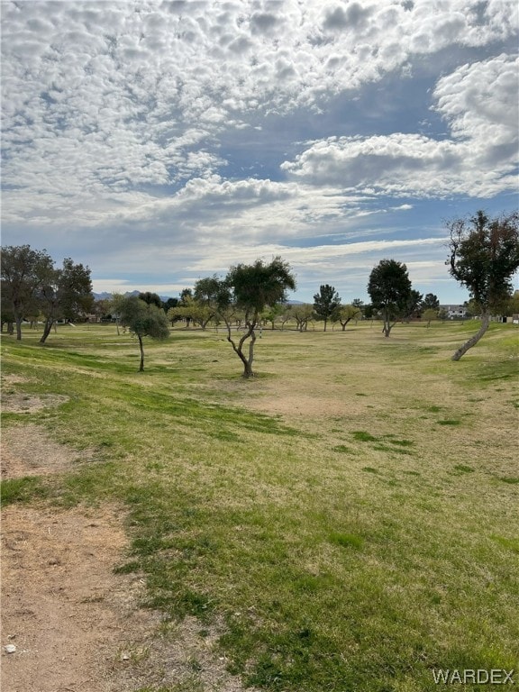 view of yard with a rural view