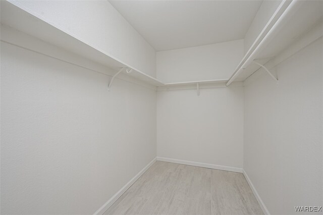 walk in closet featuring light wood-style flooring