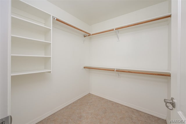 view of spacious closet