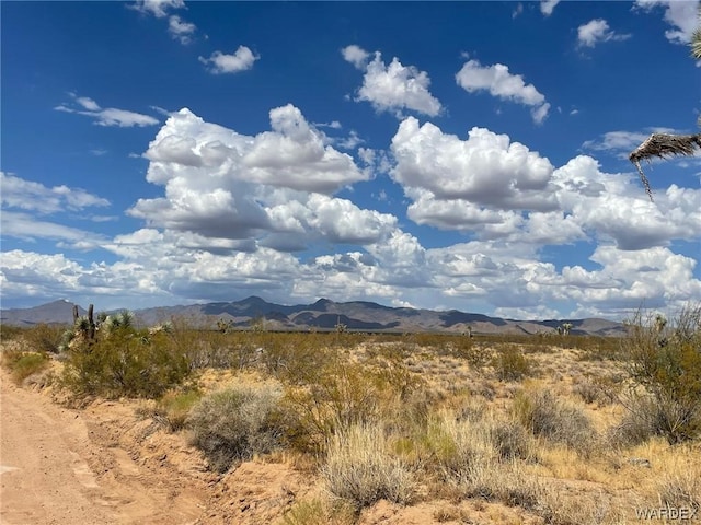 008 Mesquite, Yucca AZ, 86438 land for sale