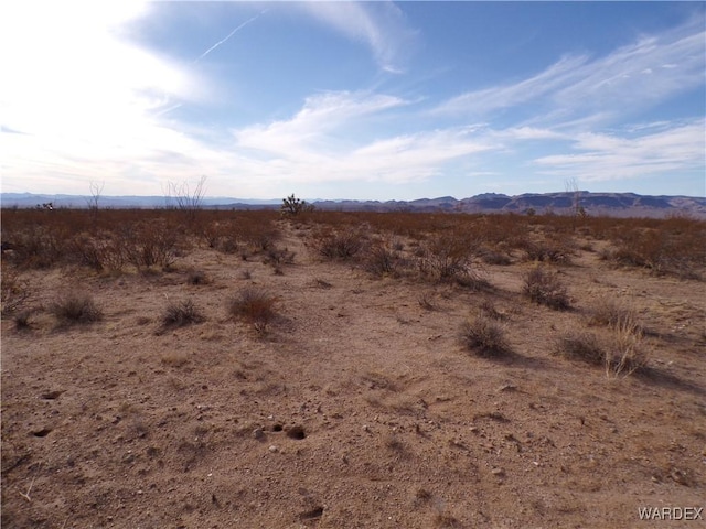 Listing photo 3 for LOT6S2 S Ruby Rd, Yucca AZ 86438