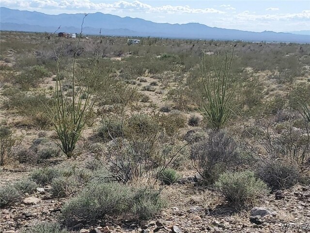 LOT12 S Roll Rd, Yucca, AZ 86438 - photo 12