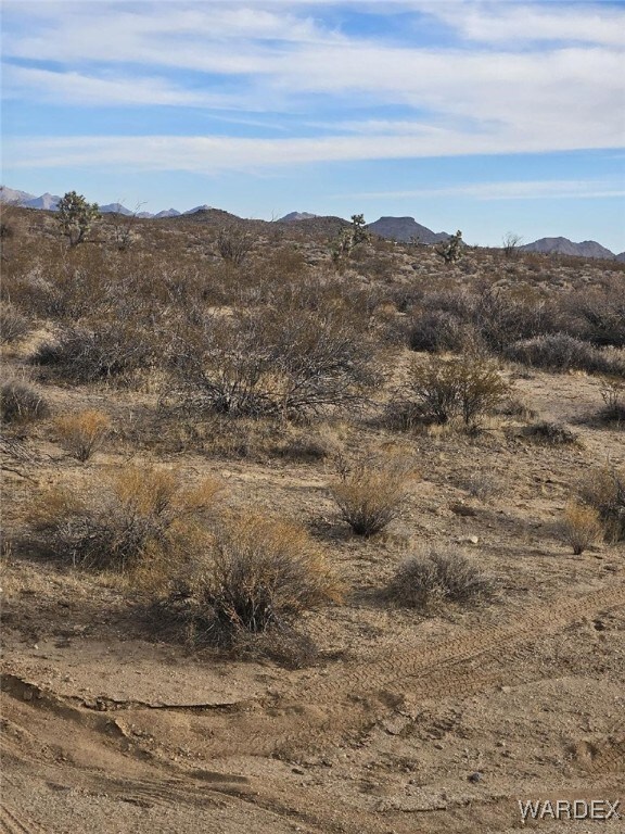 LOT12 S Roll Rd, Yucca, AZ 86438 - photo 3