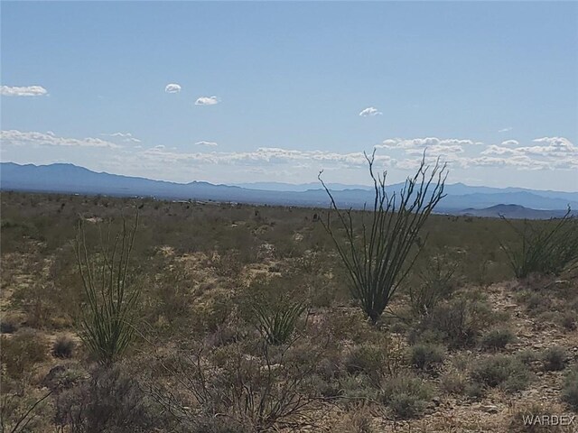 LOT12 S Roll Rd, Yucca, AZ 86438 - photo 13