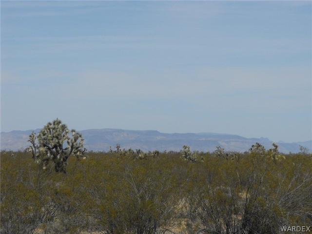 Listing photo 2 for PARCEL416 S Tom Mix Rd, Yucca AZ 86438