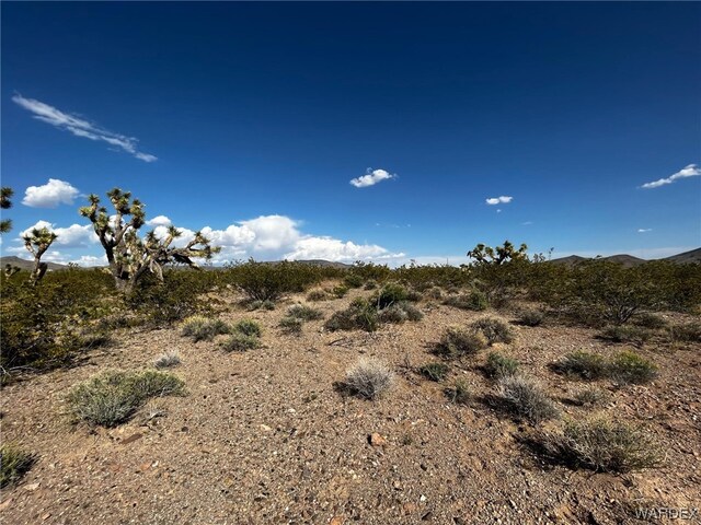 20618 N Deer Dr, White Hills, AZ 86445 - photo 8