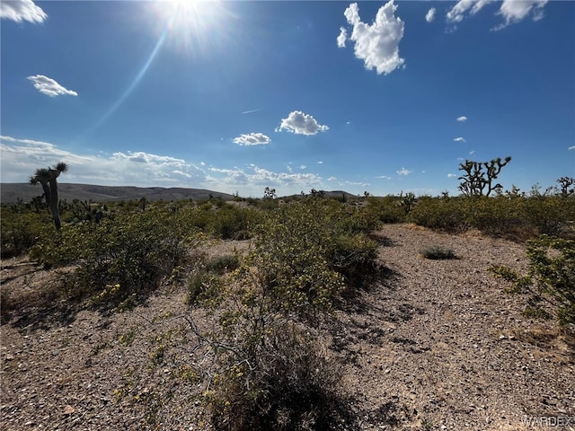 20618 N Deer Dr, White Hills, AZ 86445 - photo 4