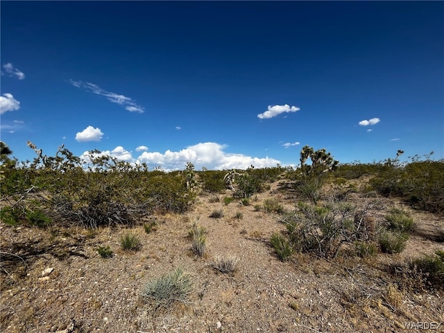 20618 N Deer Dr, White Hills, AZ 86445 - photo 6