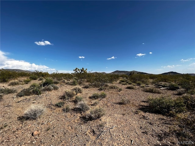 20618 N Deer Dr, White Hills, AZ 86445 - photo 9