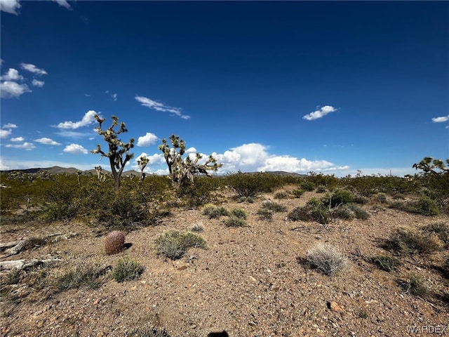 20618 N Deer Dr, White Hills, AZ 86445 - photo 11