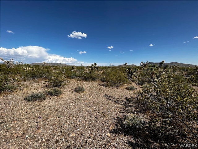 20618 N Deer Dr, White Hills, AZ 86445 - photo 5