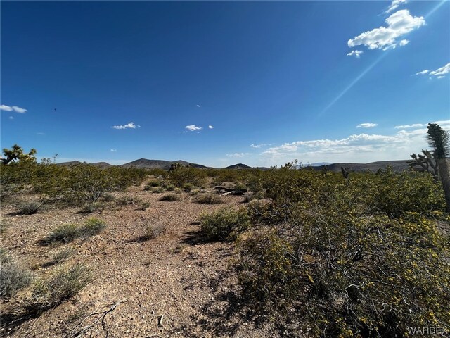 20618 N Deer Dr, White Hills, AZ 86445 - photo 10