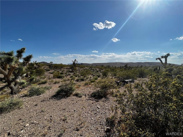 20618 N Deer Dr, White Hills AZ, 86445 land for sale