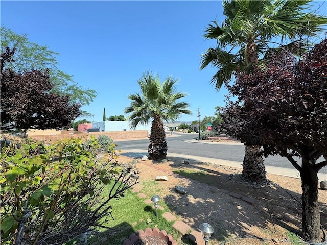 3064 Brenda Cir, Kingman, AZ 86401 - photo 3