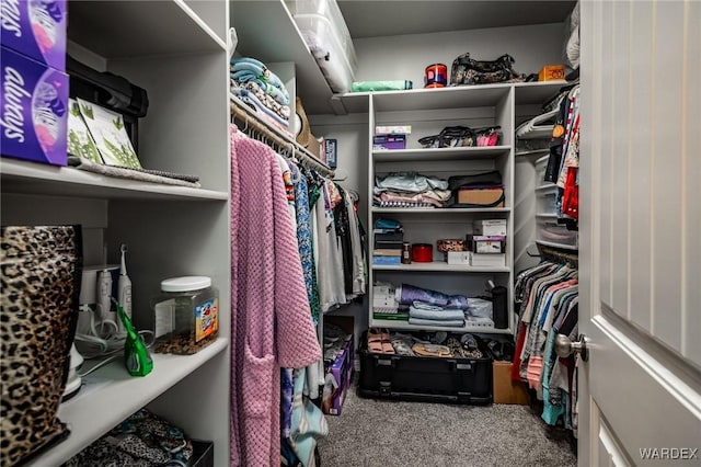 spacious closet featuring carpet