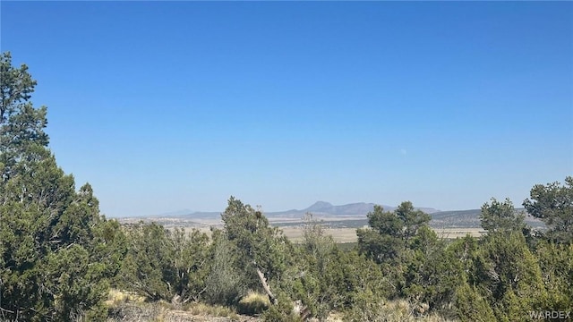 Listing photo 3 for 30425 W Conejo Rd, Seligman AZ 86337