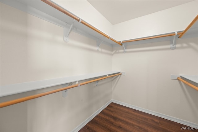 walk in closet with dark wood finished floors