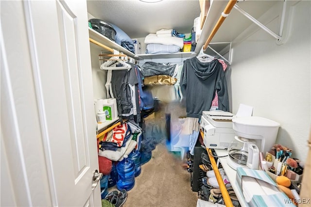walk in closet featuring carpet floors