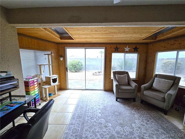 living area with wooden walls