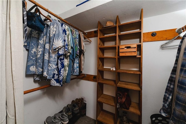 view of spacious closet