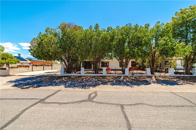 obstructed view of property with a fenced front yard