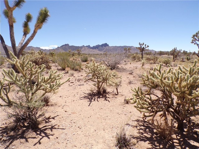 LOT352 N Palo Alto Dr, Dolan Springs, AZ 86441 - photo 2