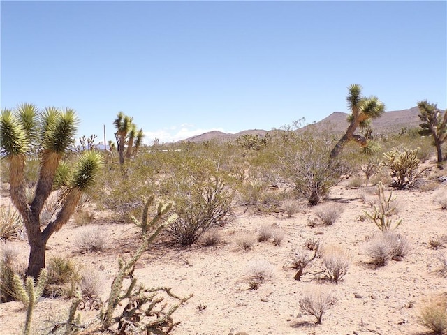 LOT352 N Palo Alto Dr, Dolan Springs, AZ 86441 - photo 19