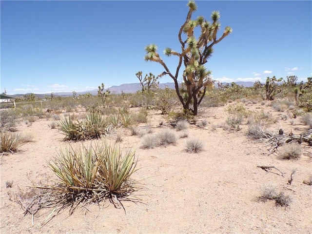 LOT352 N Palo Alto Dr, Dolan Springs, AZ 86441 - photo 3