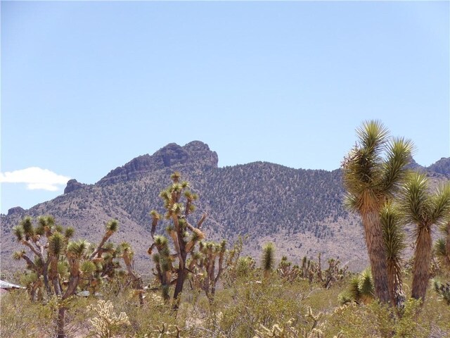 LOT352 N Palo Alto Dr, Dolan Springs, AZ 86441 - photo 13