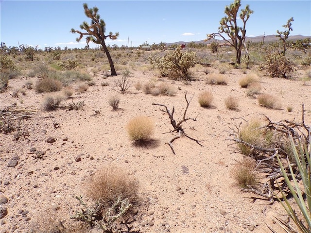 LOT352 N Palo Alto Dr, Dolan Springs, AZ 86441 - photo 18