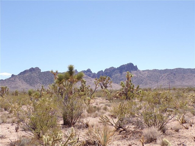 LOT352 N Palo Alto Dr, Dolan Springs, AZ 86441 - photo 16