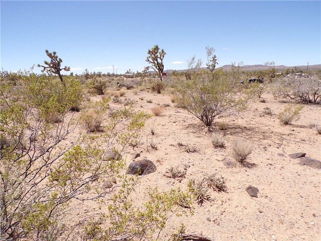 LOT352 N Palo Alto Dr, Dolan Springs, AZ 86441 - photo 17