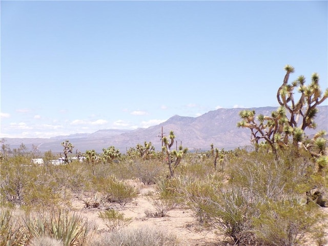 LOT352 N Palo Alto Dr, Dolan Springs, AZ 86441 - photo 20