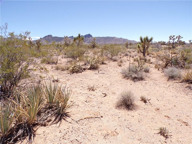 LOT352 N Palo Alto Dr, Dolan Springs, AZ 86441 - photo 15