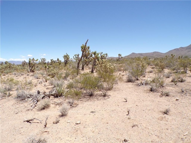LOT352 N Palo Alto Dr, Dolan Springs, AZ 86441 - photo 12