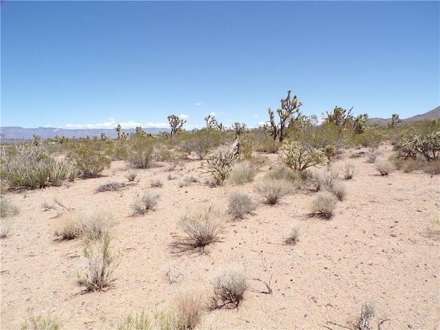 LOT352 N Palo Alto Dr, Dolan Springs, AZ 86441 - photo 11