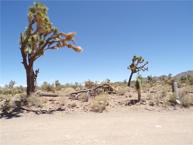 LOT352 N Palo Alto Dr, Dolan Springs, AZ 86441 - photo 22