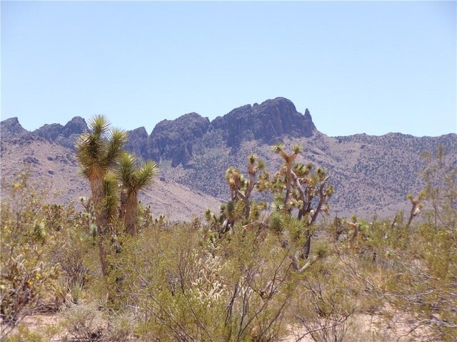 LOT352 N Palo Alto Dr, Dolan Springs, AZ 86441 - photo 4
