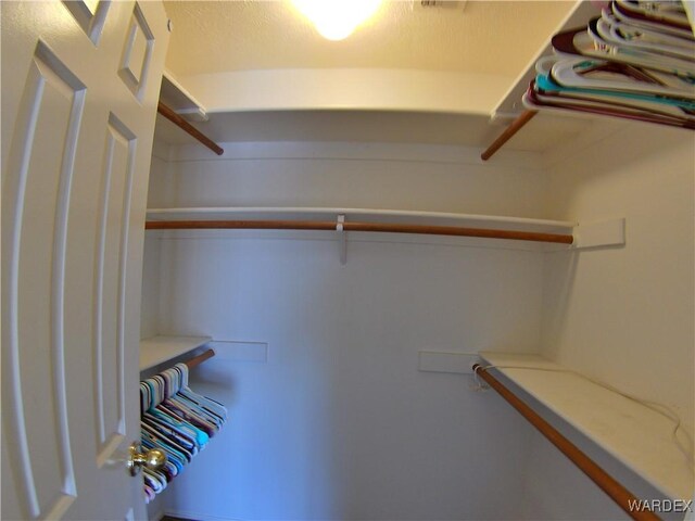 view of spacious closet