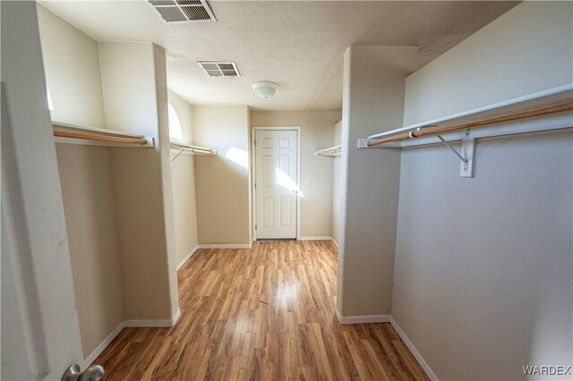 walk in closet with visible vents and light wood-style floors