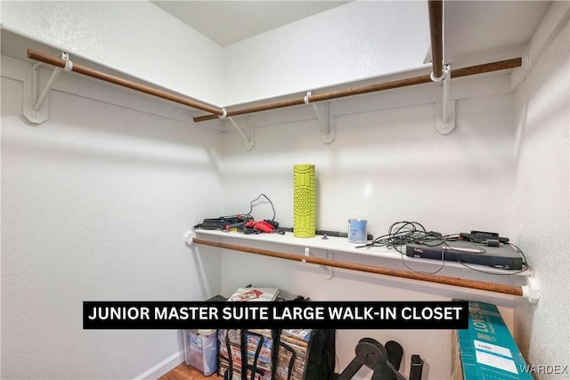 view of walk in closet