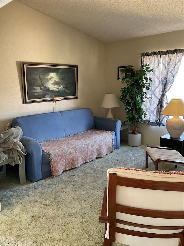 201 Riverfront Drive, Drive, Bullhead City, AZ 86442 - living area featuring carpet, vaulted ceiling, and a textured ceiling