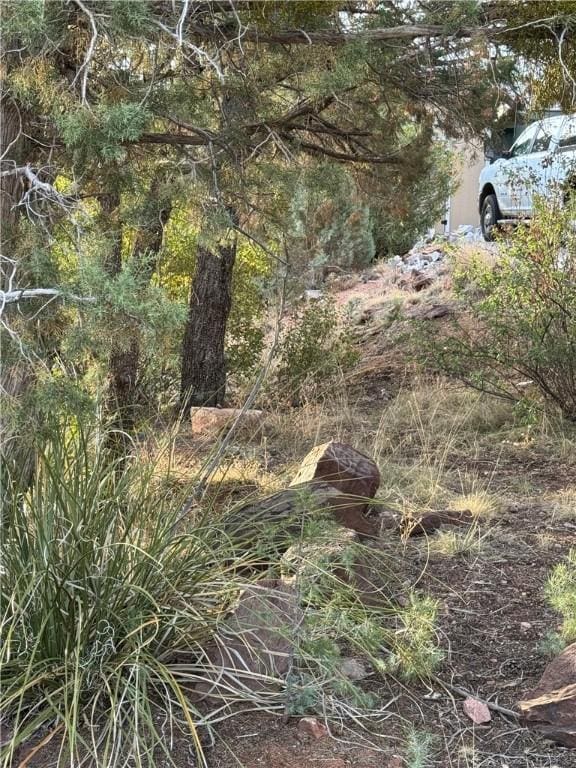 801 N Madison Dr, Payson, AZ 85541 - photo 53