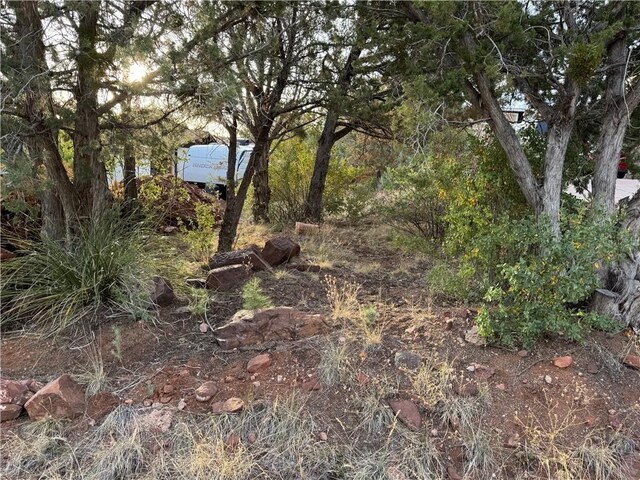 801 N Madison Dr, Payson, AZ 85541 - photo 52